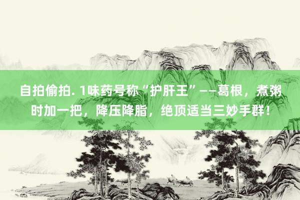自拍偷拍. 1味药号称“护肝王”——葛根，煮粥时加一把，降压降脂，绝顶适当三妙手群！