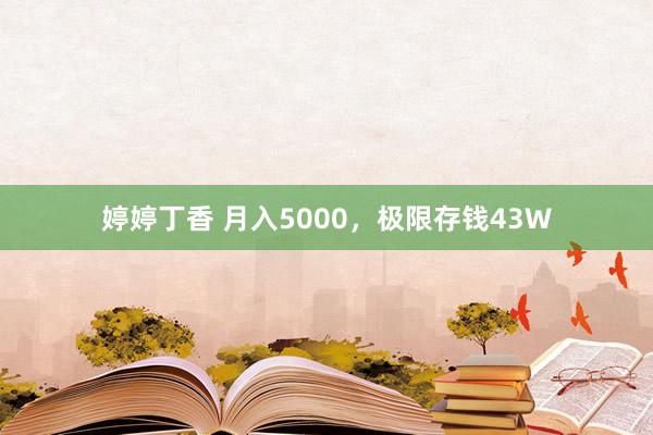 婷婷丁香 月入5000，极限存钱43W