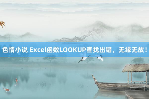 色情小说 Excel函数LOOKUP查找出错，无缘无故！