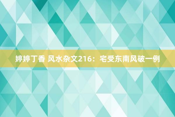 婷婷丁香 风水杂文216：宅受东南风破一例