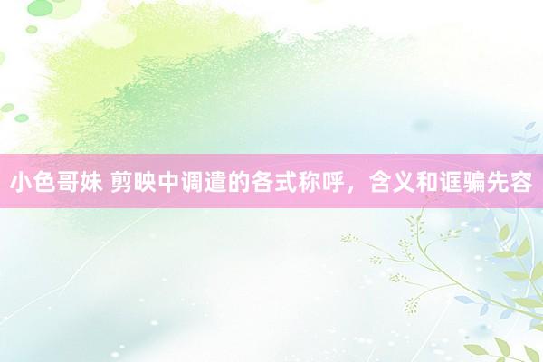 小色哥妹 剪映中调遣的各式称呼，含义和诓骗先容