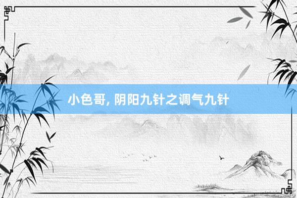小色哥， 阴阳九针之调气九针