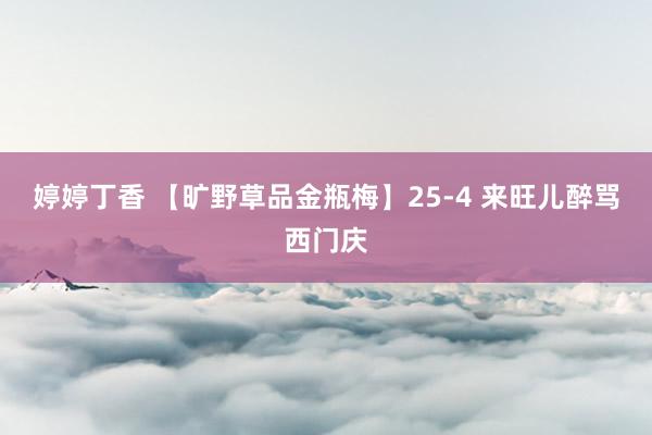 婷婷丁香 【旷野草品金瓶梅】25-4 来旺儿醉骂西门庆