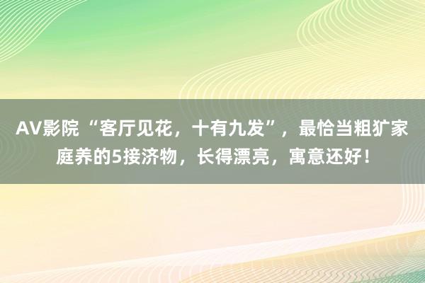 AV影院 “客厅见花，十有九发”，最恰当粗犷家庭养的5接济物，长得漂亮，寓意还好！